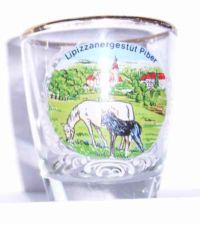 Piber Lipizzanergestuet.jpg